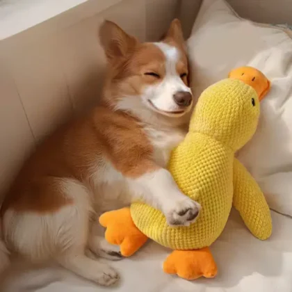 🐤 CalmDuck™ – Jouet Anti-Stress & Apaisant pour Chien