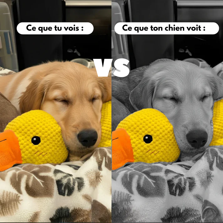 🐤 CalmDuck™ – Jouet Anti-Stress & Apaisant pour Chien